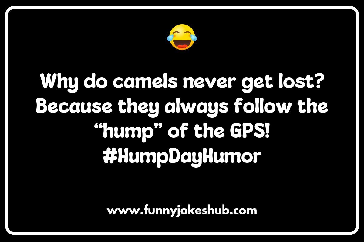 Camel Jokes Camel Jokes