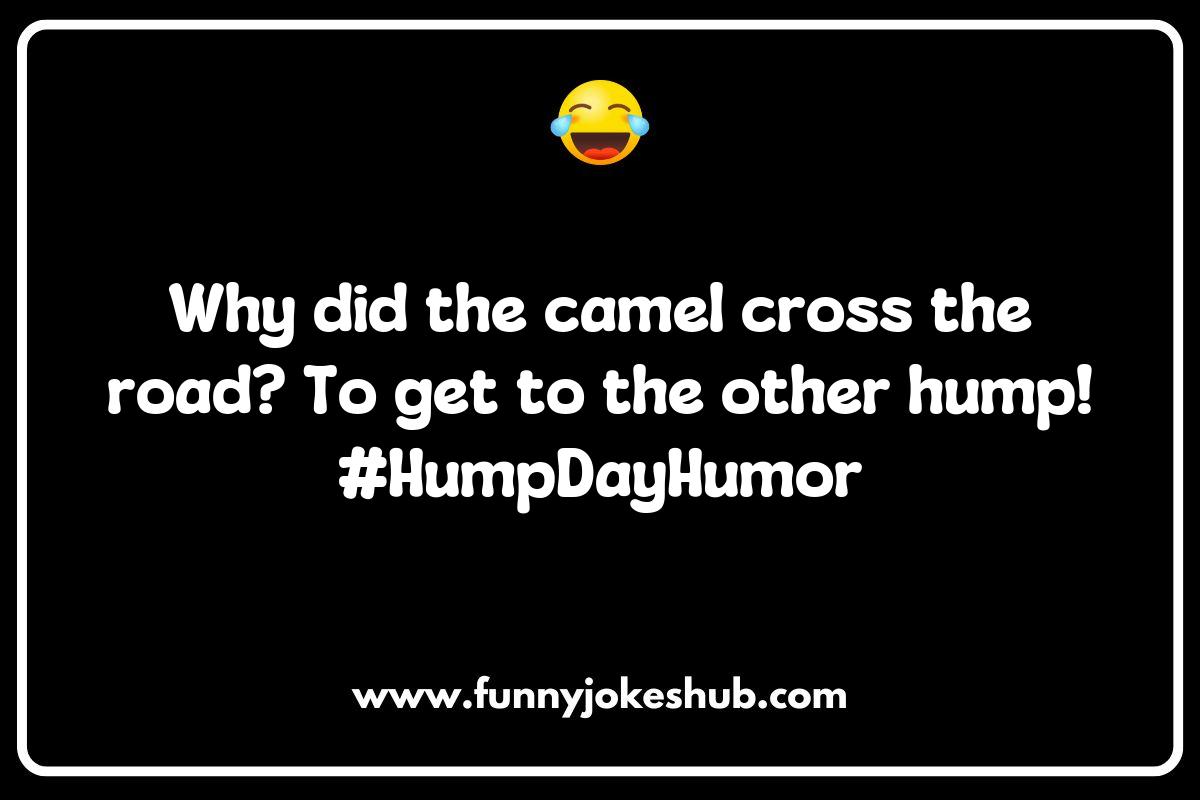 Camel Jokes for Any Occasion: From Parties to Campfires Camel Jokes for Any Occasion: From Parties to Campfires