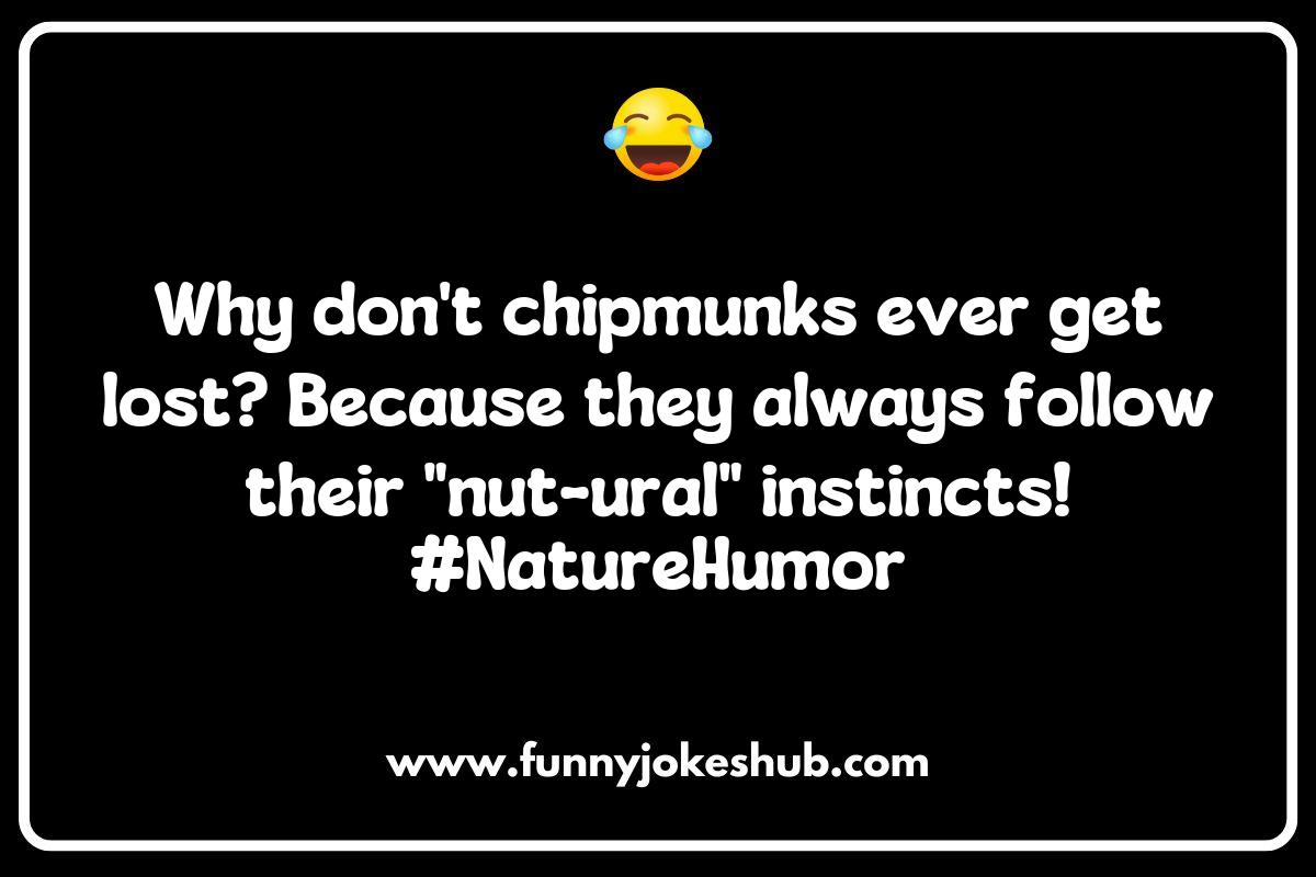 Chipmunk Jokes: A Fun Way to Learn About Nature Chipmunk Jokes: A Fun Way to Learn About Nature