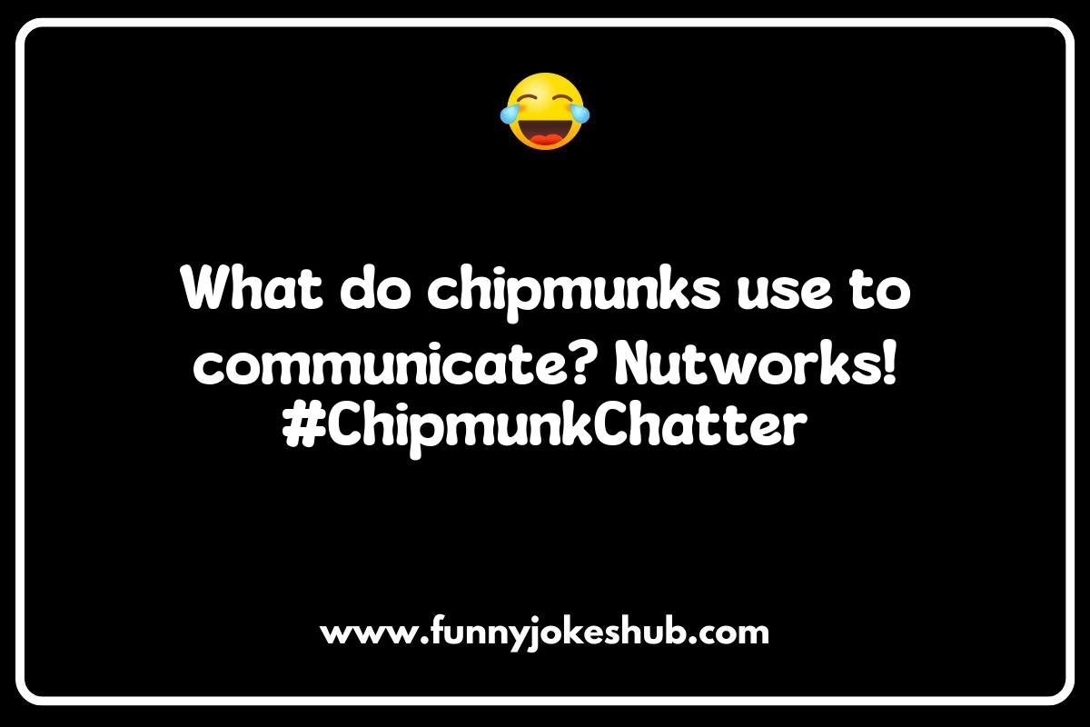 Chipmunk Jokes: How They Bring Friends and Family Together Chipmunk Jokes: How They Bring Friends and Family Together