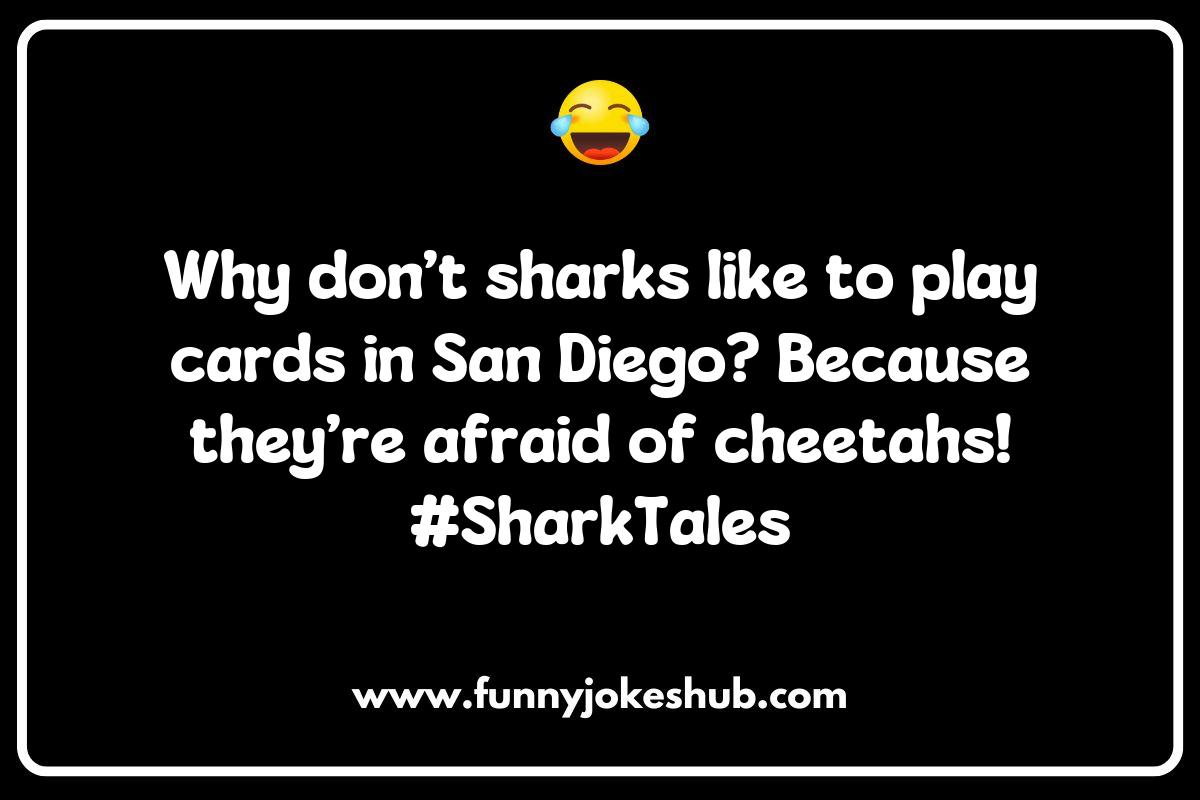 Clever San Diego Puns: A Fun Twist on Local Culture Clever San Diego Puns: A Fun Twist on Local Culture