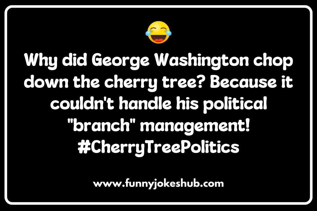 Clever Washington, D.C. Puns for History Buffs and Washington, D.C. Jokes and Puns Clever Washington, D.C. Puns for History Buffs and Washington, D.C. Jokes and Puns