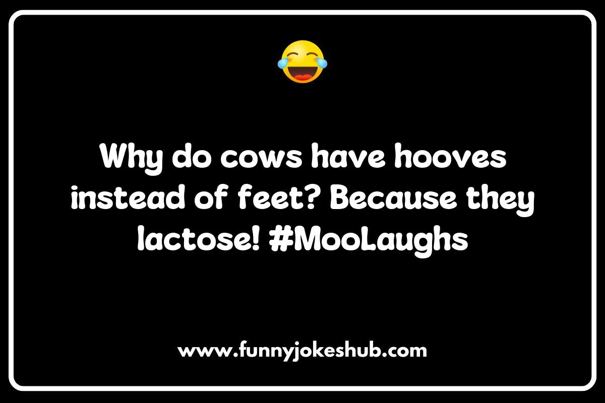 Cow Jokes That Will Make You Laugh Till You Moo Cow Jokes That Will Make You Laugh Till You Moo