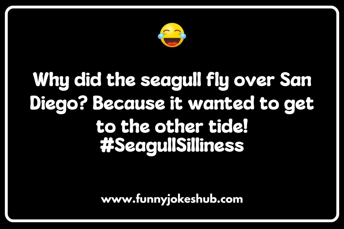 Family-Friendly San Diego Jokes to Share with the Kids Family-Friendly San Diego Jokes to Share with the Kids