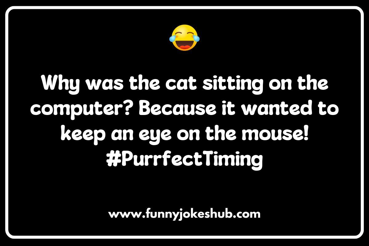 Hilarious Cat Jokes That Capture Their Quirky Personalities Hilarious Cat Jokes That Capture Their Quirky Personalities