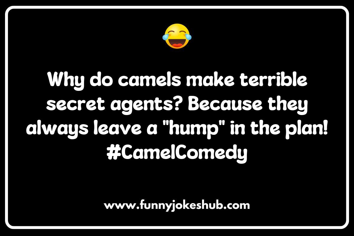 How Camel Jokes Bring People Together: The Power of Laughter How Camel Jokes Bring People Together: The Power of Laughter