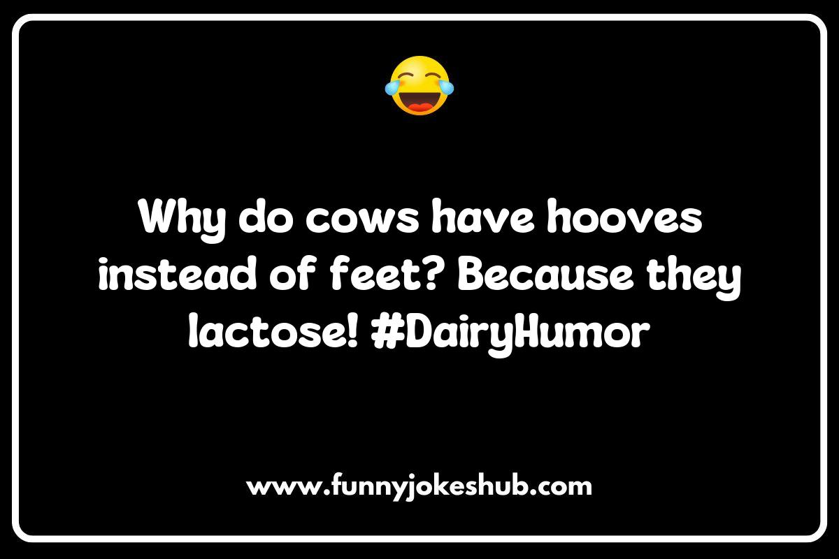 Moo-ving Beyond the Basics: Creative Cow Jokes Moo-ving Beyond the Basics: Creative Cow Jokes