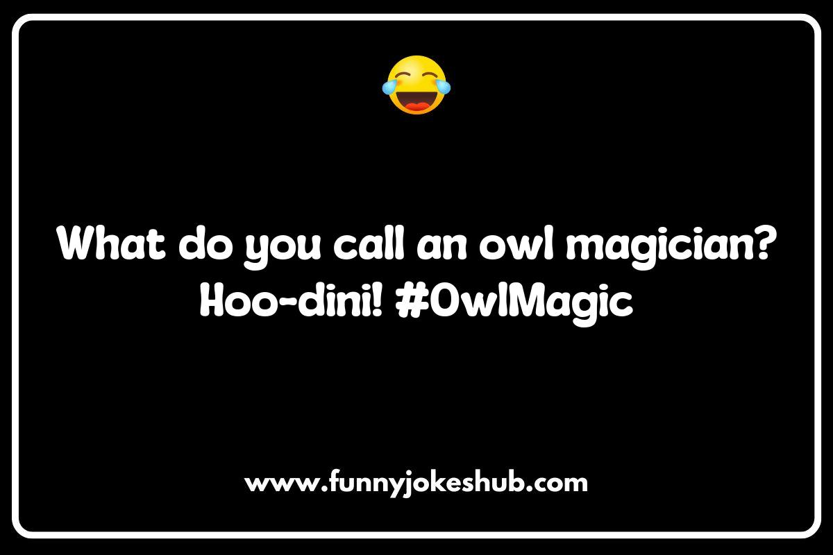 Owl Jokes: Why They’re Hooting Good Fun Owl Jokes: Why They’re Hooting Good Fun