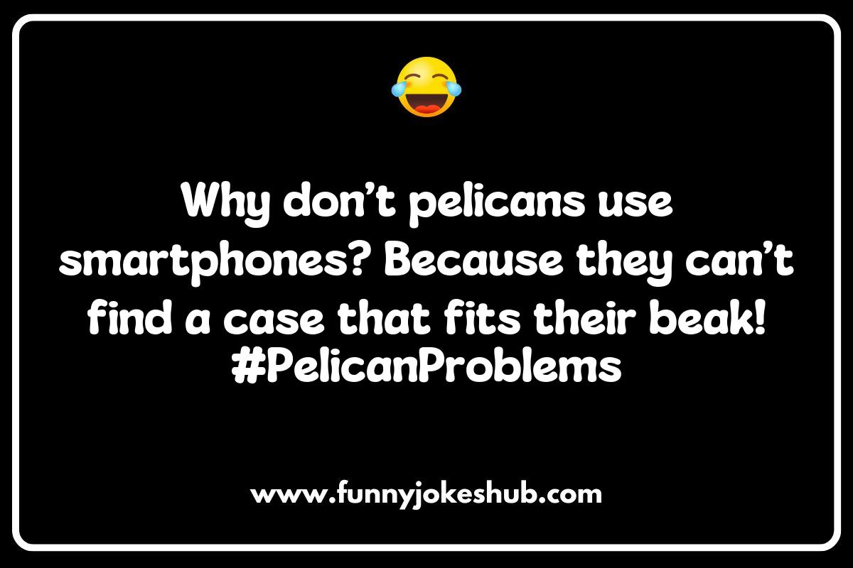 Pelican Jokes Pelican Jokes