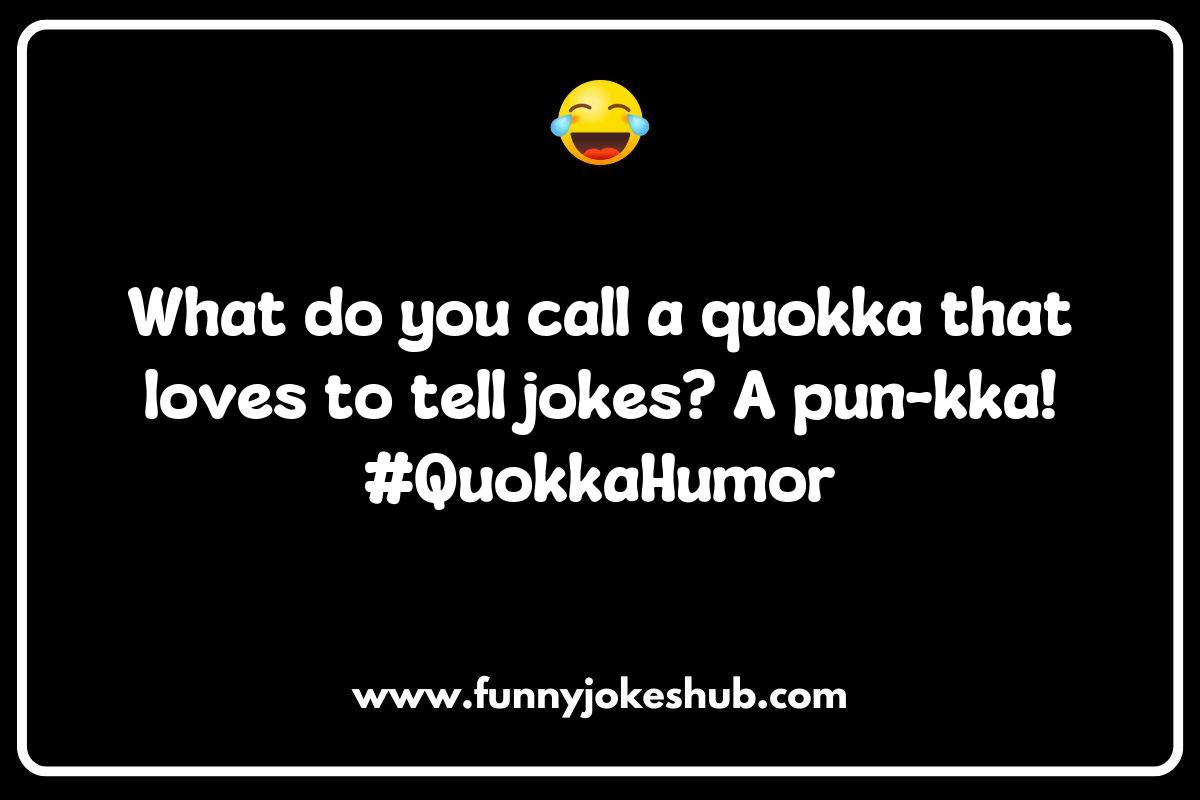 Quokka Jokes Quokka Jokes