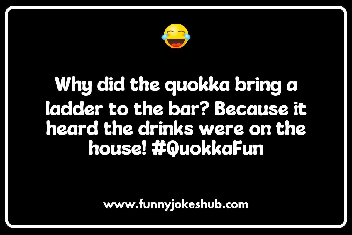 Quokka Jokes: Bringing Joy One Smile at a Time Quokka Jokes: Bringing Joy One Smile at a Time
