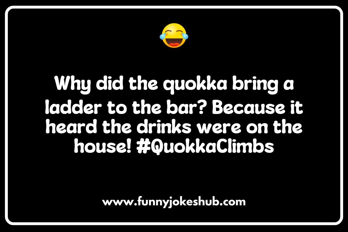 Quokka Jokes: The Cutest Comedy Creatures Quokka Jokes: The Cutest Comedy Creatures
