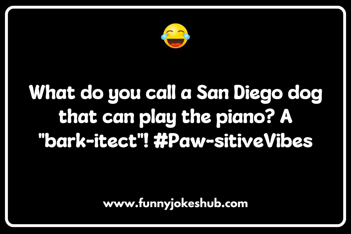 San Diego Jokes and Puns San Diego Jokes and Puns