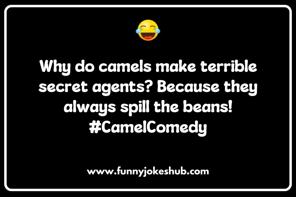 The Best Camel Jokes to Make You Laugh Out Loud The Best Camel Jokes to Make You Laugh Out Loud