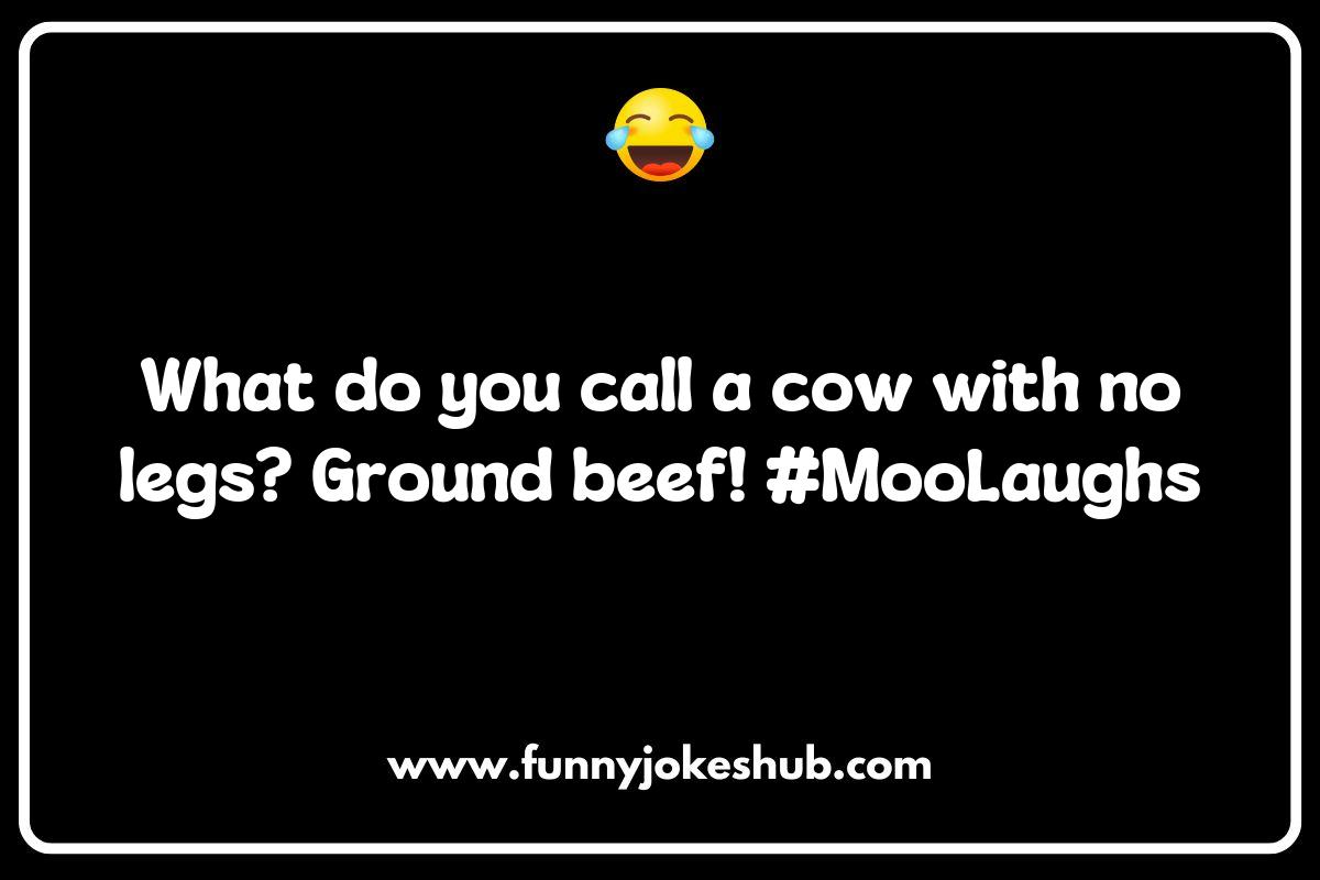 The Best Cow Jokes to Milk Your Laughter The Best Cow Jokes to Milk Your Laughter