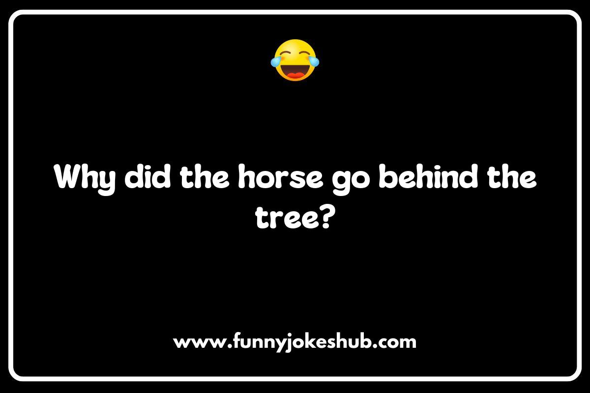 The Best Horseback Riding Jokes for Beginners and Experienced Riders The Best Horseback Riding Jokes for Beginners and Experienced Riders