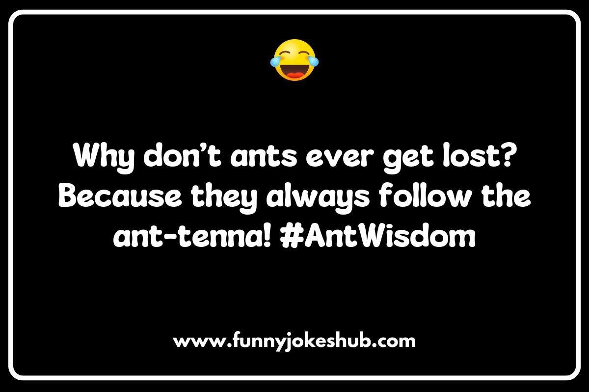 The Cleverness of Ant Jokes: How Ants Outsmart Us All The Cleverness of Ant Jokes: How Ants Outsmart Us All
