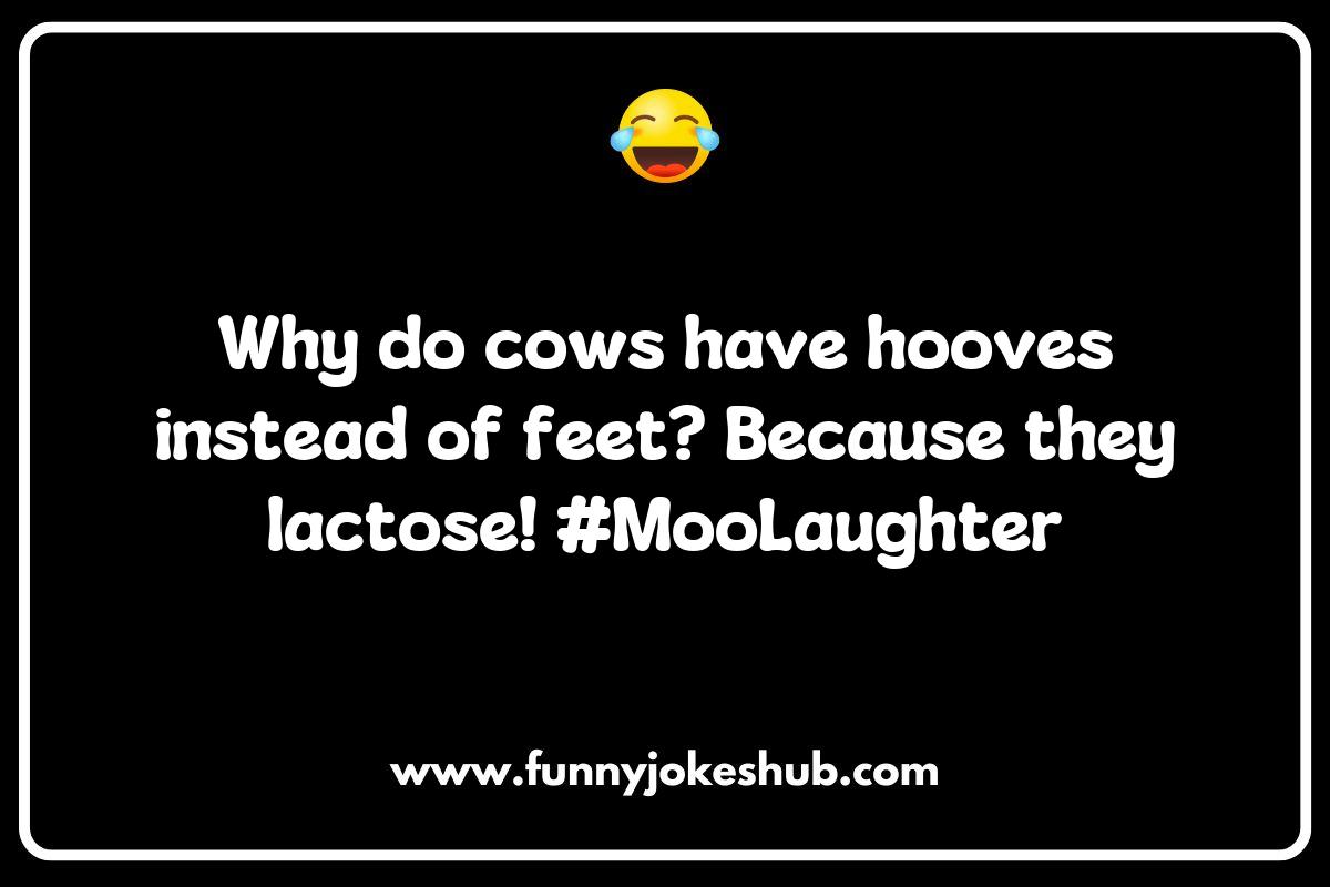 The Moo-sical World of Cow Jokes The Moo-sical World of Cow Jokes