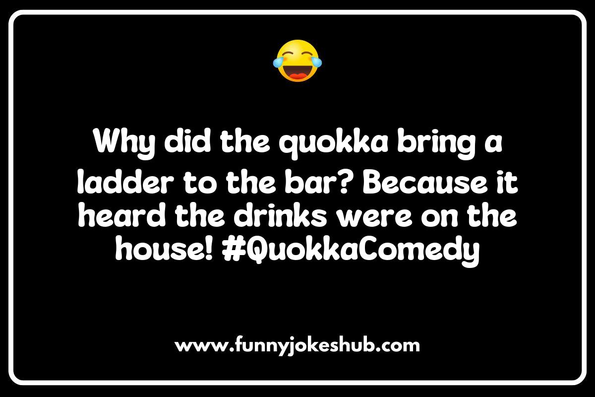 The Role of Quokka Jokes in Social Media Culture The Role of Quokka Jokes in Social Media Culture