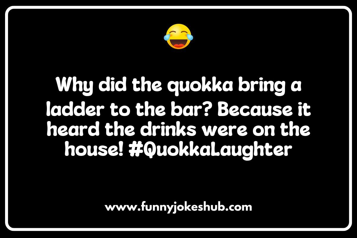 The Science Behind Why Quokka Jokes Make Us Laugh The Science Behind Why Quokka Jokes Make Us Laugh