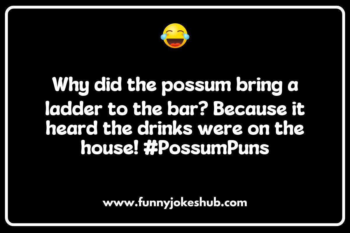 The Science of Laughter: What Makes Possum Jokes So Funny? The Science of Laughter: What Makes Possum Jokes So Funny?