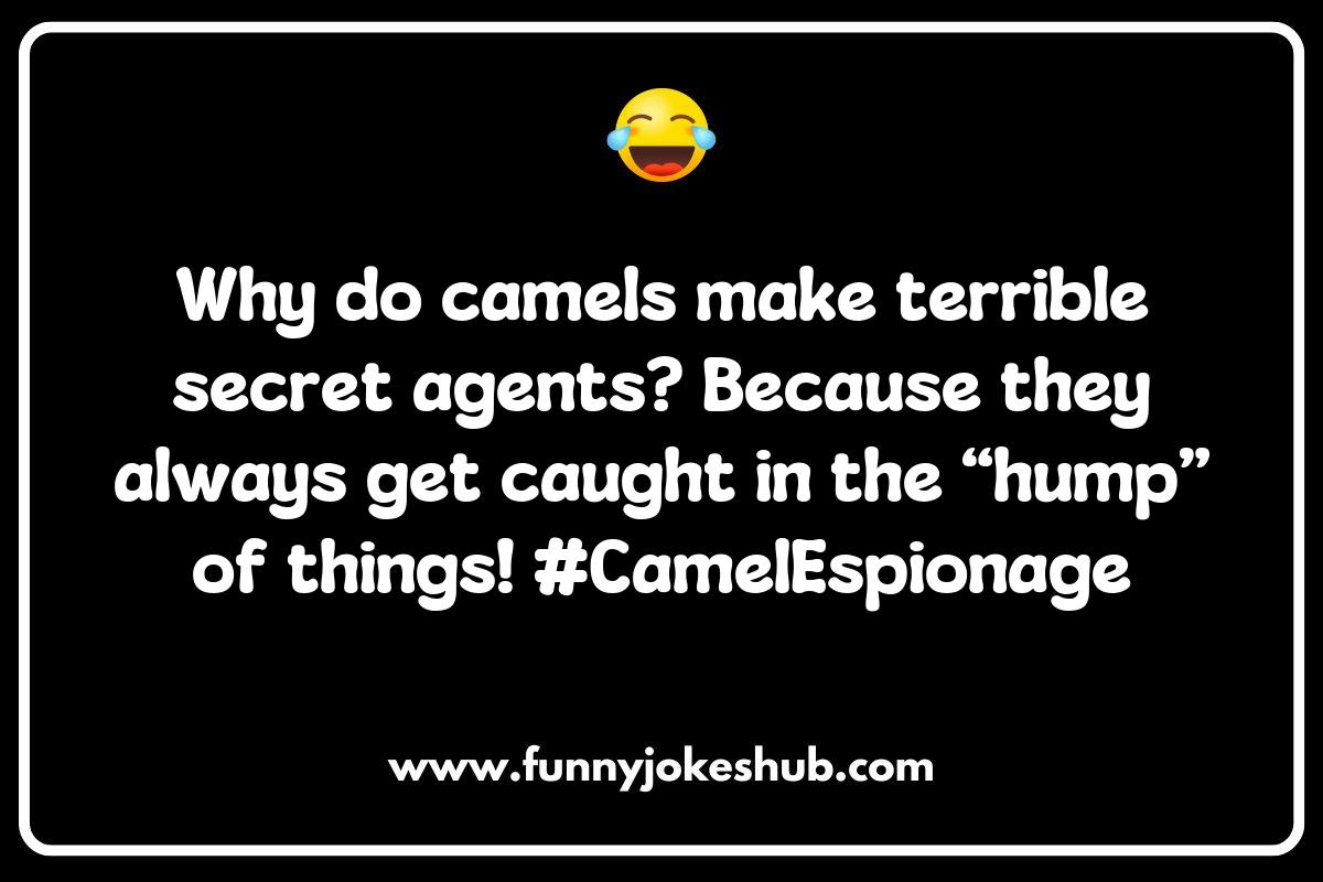 The Top 5 Classic Camel Jokes You Need to Know The Top 5 Classic Camel Jokes You Need to Know