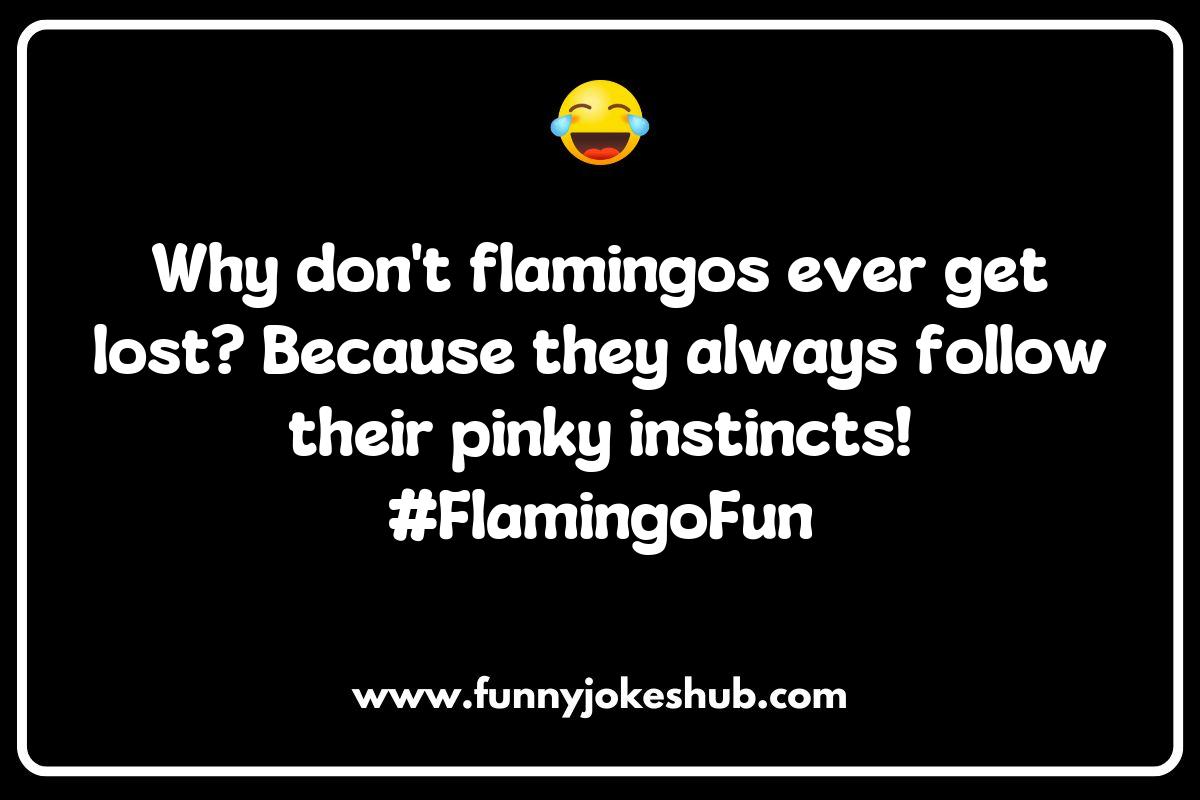 Top 10 Flamingo Jokes to Share with Friends and Family Top 10 Flamingo Jokes to Share with Friends and Family