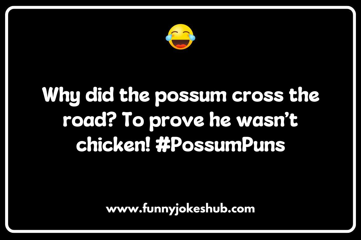 Top 5 Classic Possum Jokes That Never Get Old Top 5 Classic Possum Jokes That Never Get Old