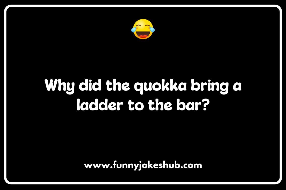 Top 5 Quokka Jokes That Will Make You Smile Top 5 Quokka Jokes That Will Make You Smile