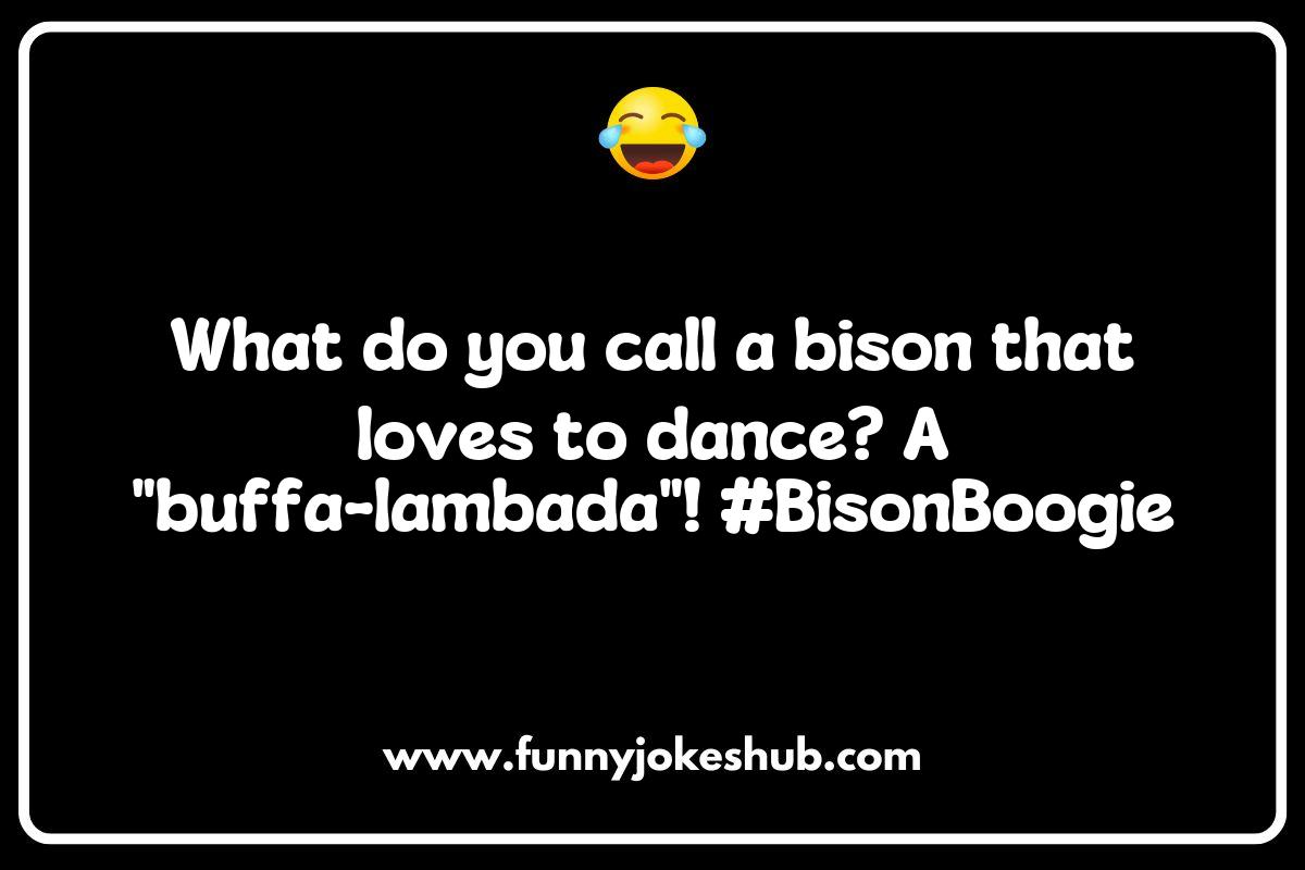 Why Bison Jokes Are a Hit with Animal Lovers Why Bison Jokes Are a Hit with Animal Lovers