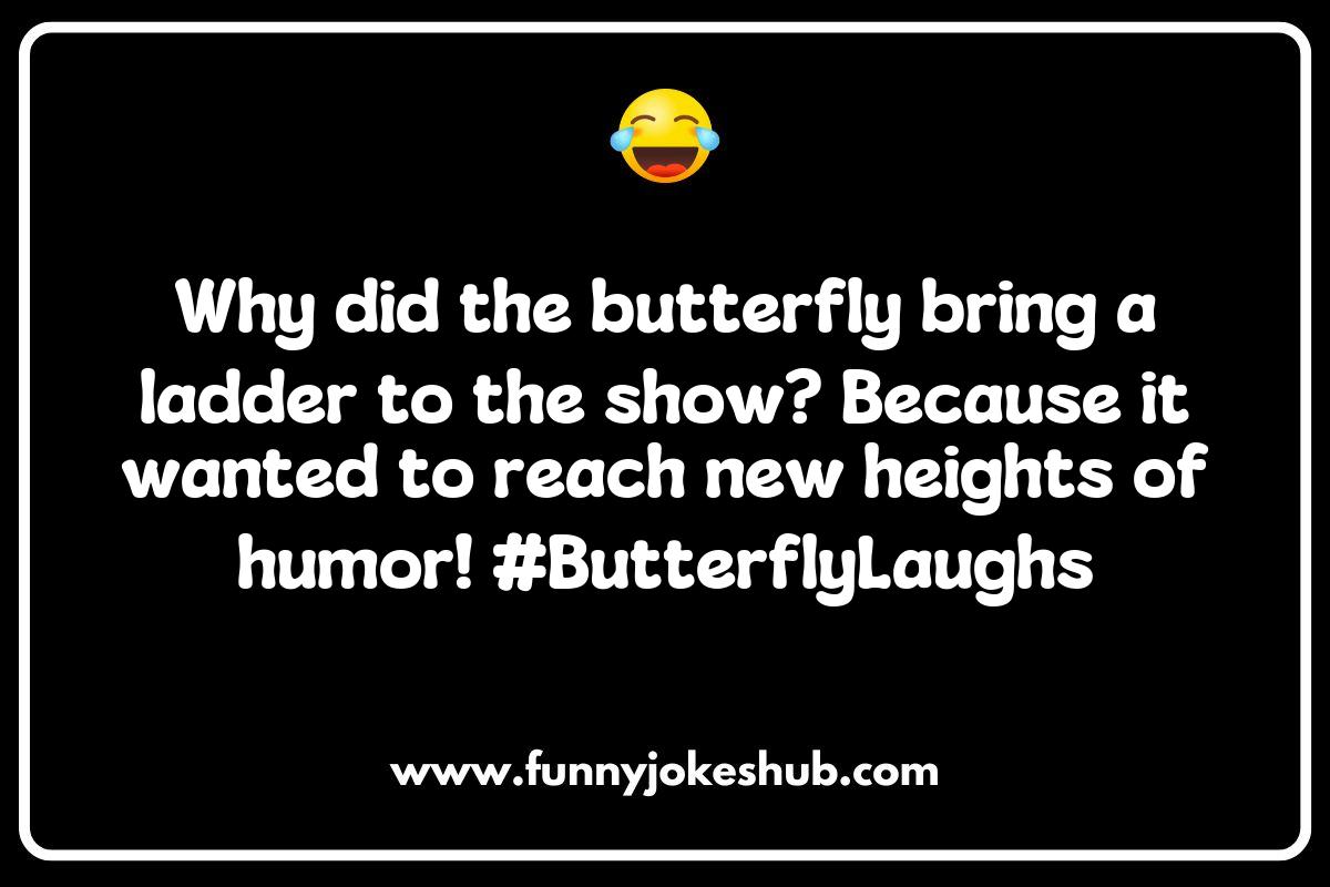 Why Do Butterflies Make Great Comedians? Why Do Butterflies Make Great Comedians?