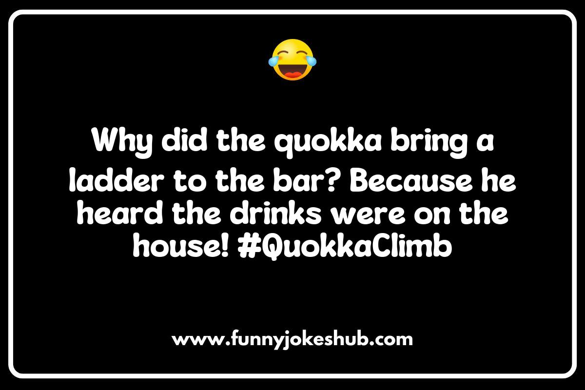 Why Quokka Jokes Are the Best Animal Humor Why Quokka Jokes Are the Best Animal Humor