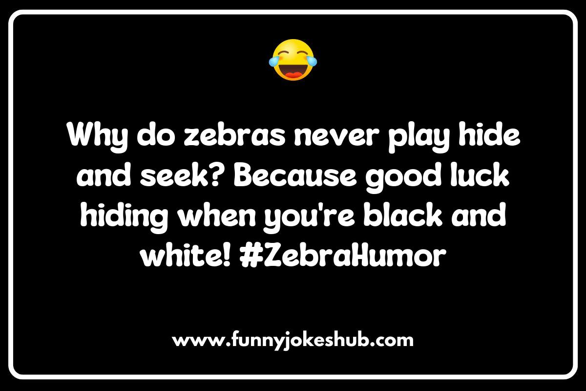 Zebra Jokes Zebra Jokes