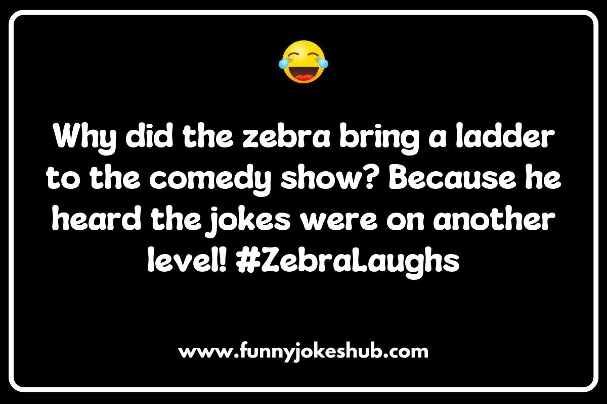 Zebra Jokes: Why Do Zebras Make Great Comedians? Zebra Jokes: Why Do Zebras Make Great Comedians?