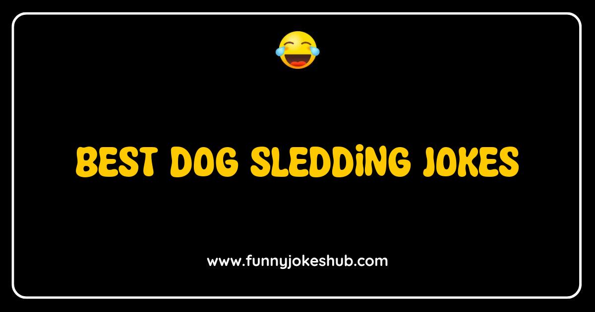 Best Dog Sledding Jokes That Will Make You Howl with Laughter Best Dog Sledding Jokes That Will Make You Howl with Laughter