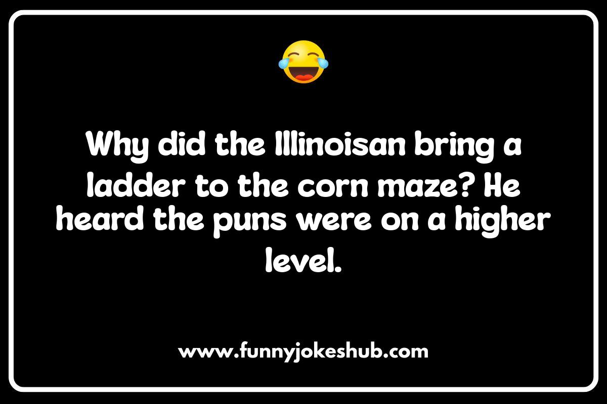 Chicago Puns: A Deep Dish of Humor Chicago Puns: A Deep Dish of Humor