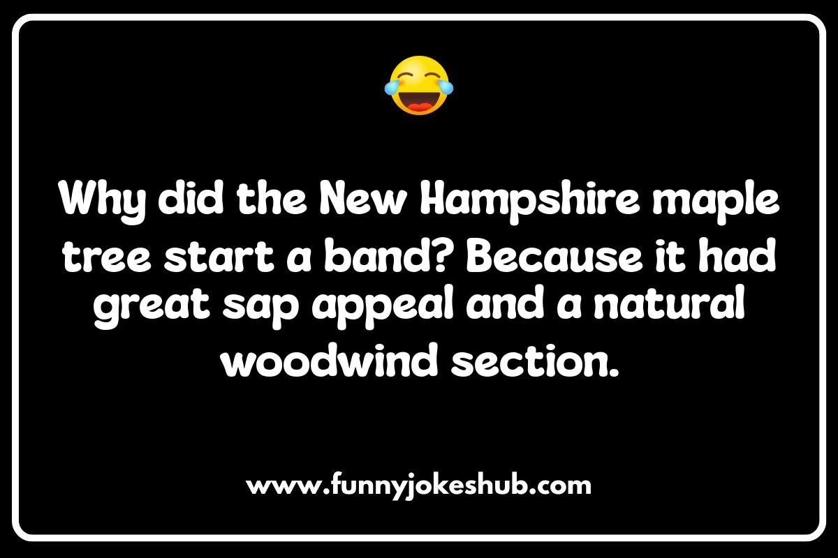 Small Town Chuckles: New Hampshire Local Humor Small Town Chuckles: New Hampshire Local Humor